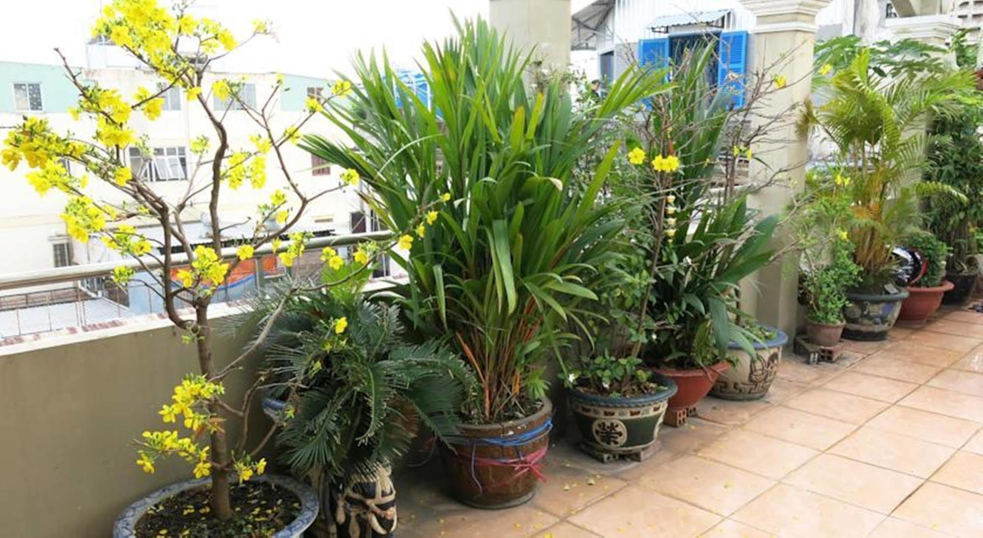 Khách sạn Banana Leaf 2*
